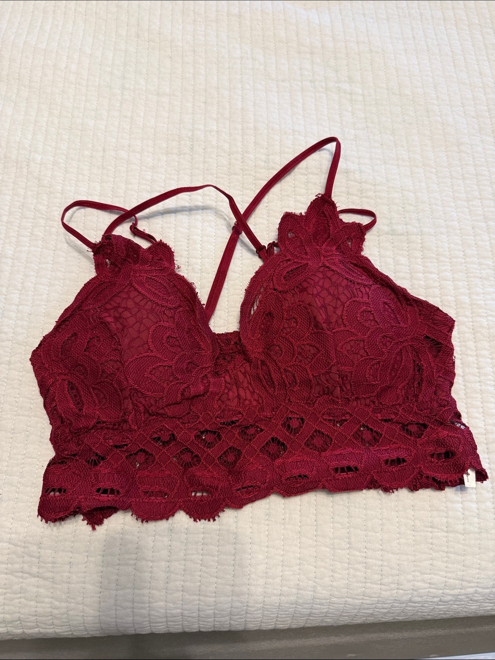 Anemone Burgundy Lace Bralette
